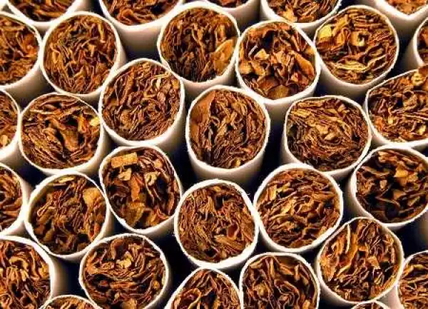 Unbelievable! The Number of People Who Die Annually Because of Tobacco Usage Will Shock You